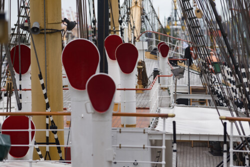 DSV
© Foto Helmut Gross