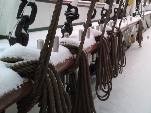 DSV
© Foto W. Kuhlmann