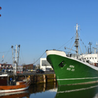 Fischerei Motorschiff Gera © Historisches Museum